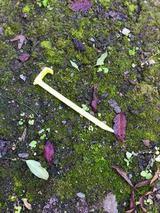 The Tent Stake - An Invitation From God